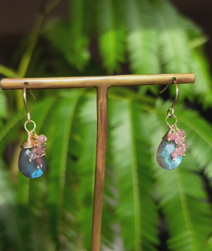 Blue Flash Labradorite  Earrings(14kgf)